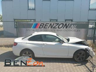 škoda osobní automobily BMW 2-serie 2 serie (F22), Coupe, 2013 / 2021 218i 1.5 TwinPower Turbo 12V 2016/9