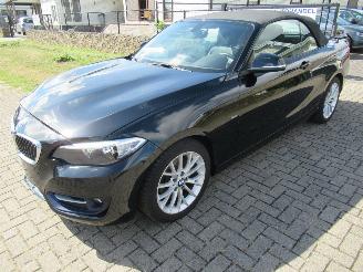 disassembly commercial vehicles BMW 2-serie 218i Cabrio  SportLine 32,900km!! Airco-Aut Leer Navi StoelVerwarming.... 2019/8