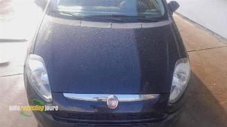 Fiat Punto Punto Evo (199), Hatchback, 2009 / 2012 1.3 JTD Multijet 85 16V Euro 5 picture 8