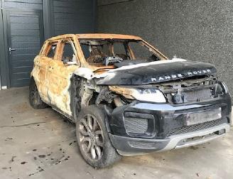 damaged passenger cars Land Rover Range Rover Evoque (LVJ/LVS) SUV 2011 2.0 D 150 16V 5-drs. SUV 4Dr Diesel 1.999cc 110kW  2015-06 2018/1