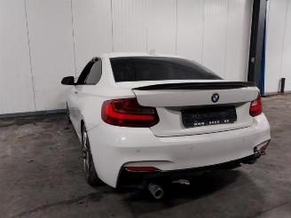Vaurioauto  campers BMW 2-serie 2 serie (F22), Coupe, 2013 / 2021 218d 2.0 16V 2017/6