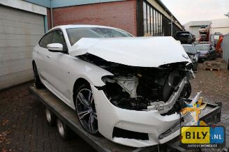 dommages voiturettes BMW 6-serie G32 3.0dX 2017/8
