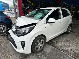 dañado vehículos comerciales Kia Picanto  2019/3